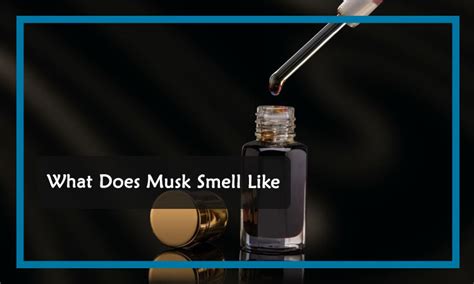 musky smell in tagalog meaning|Translate smell musky in Tagalog with contextual examples.